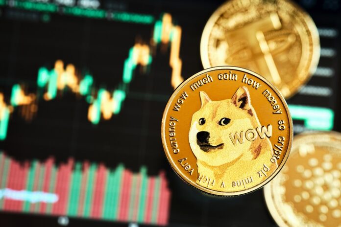 Doge 1 dollar 