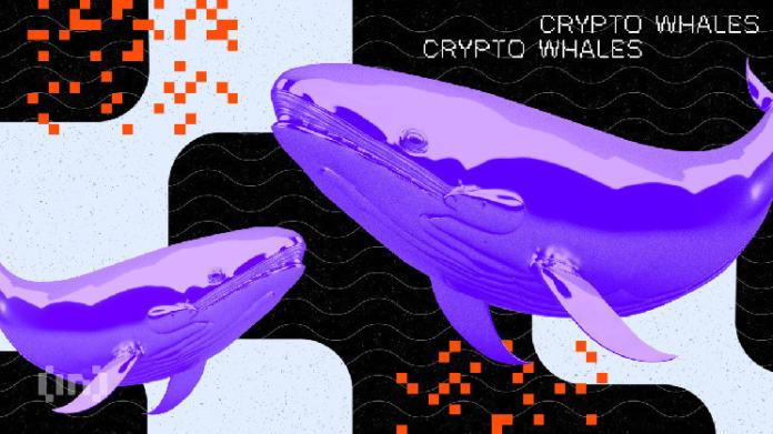 Which Meme Coins Whales are Selling in February