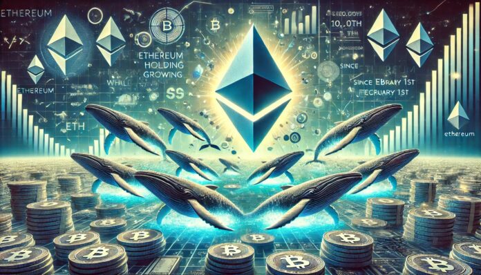 Ethereum Whales Holding Over 10,000 ETH Grow Since February 1st – Accumulation Signal?