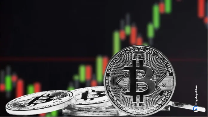 Bitcoin steadies, uncouples from altcoin market in free fall